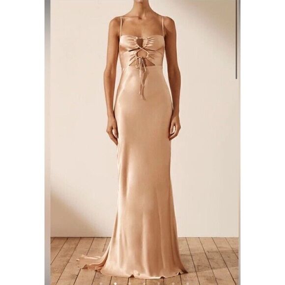 NWT Shona Joy Lace Front Maxi Dress Desert Rose sz 4 US - Picture 4 of 11